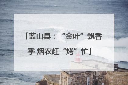 蓝山县：“金叶”飘香季 烟农赶“烤”忙