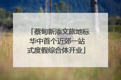 蔡甸新添文旅地标 华中首个近郊一站式度假综合体开业