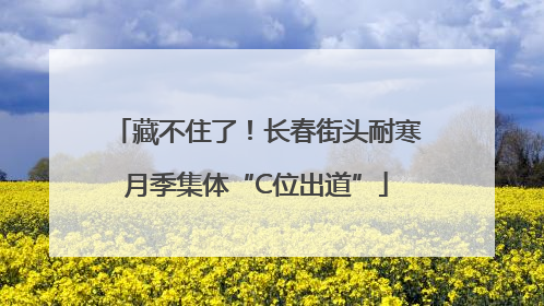 藏不住了！长春街头耐寒月季集体“C位出道”