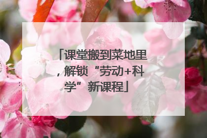 课堂搬到菜地里，解锁“劳动+科学”新课程