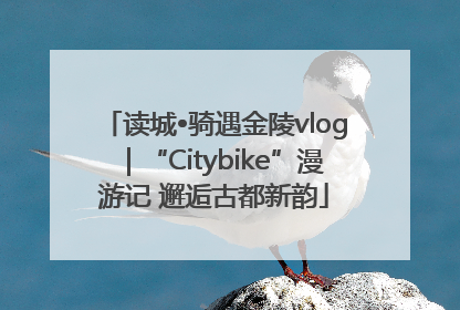 读城•骑遇金陵vlog｜“Citybike”漫游记 邂逅古都新韵