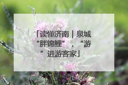 读懂济南｜泉城“胖锦鲤”，“游”进游客家