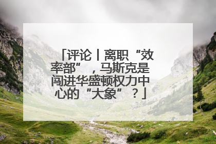 评论丨离职“效率部”，马斯克是闯进华盛顿权力中心的“大象”？