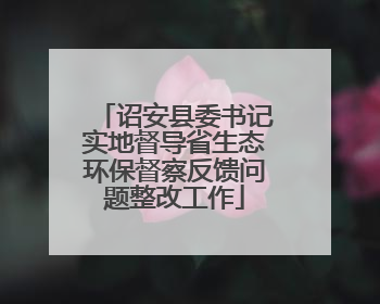 诏安县委书记实地督导省生态环保督察反馈问题整改工作
