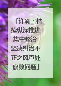 许勤：持续纵深推进集中整治 坚决纠治不正之风查处腐败问题