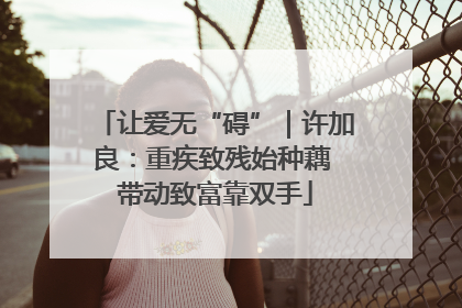 让爱无“碍”｜许加良：重疾致残始种藕 带动致富靠双手