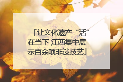 让文化遗产“活”在当下 江西集中展示百余项非遗技艺