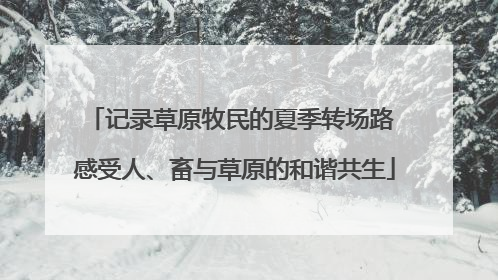 记录草原牧民的夏季转场路 感受人、畜与草原的和谐共生