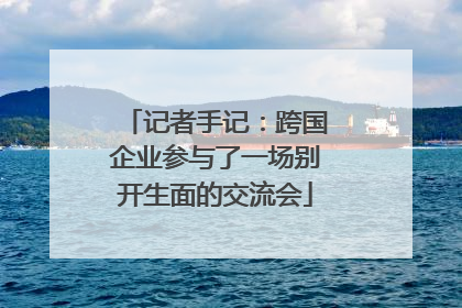 记者手记：跨国企业参与了一场别开生面的交流会