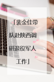 裴金佳带队赴陕西调研退役军人工作