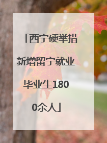 西宁硬举措新增留宁就业毕业生1800余人