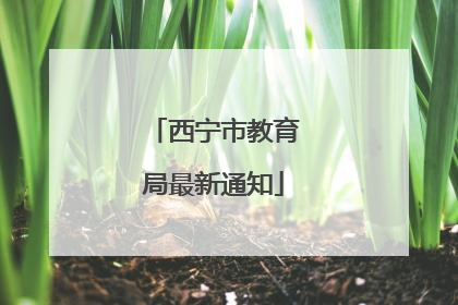 西宁市教育局最新通知