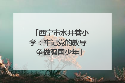 西宁市水井巷小学：牢记党的教导 争做强国少年