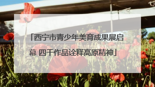 西宁市青少年美育成果展启幕 四千作品诠释高原精神