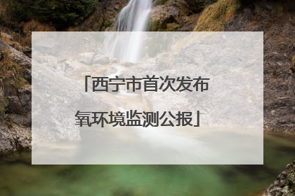 西宁市首次发布氧环境监测公报