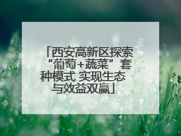 西安高新区探索“葡萄+蔬菜”套种模式 实现生态与效益双赢