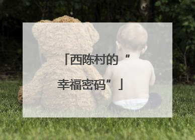 西陈村的“幸福密码”