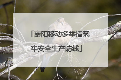 襄阳移动多举措筑牢安全生产防线