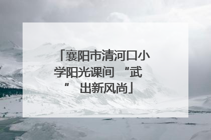 襄阳市清河口小学阳光课间 “武” 出新风尚