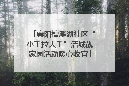 襄阳檀溪湖社区“小手拉大手”洁城靓家园活动暖心收官