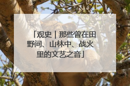 观史｜那些曾在田野间、山林中、战火里的文艺之音