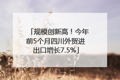 规模创新高！今年前5个月四川外贸进出口增长7.5%