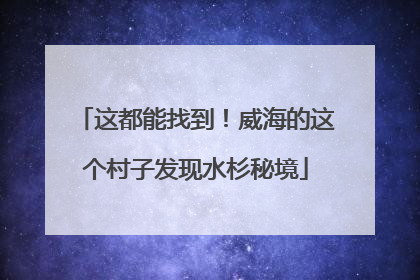这都能找到！威海的这个村子发现水杉秘境
