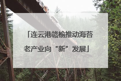 连云港赣榆推动海苔老产业向“新”发展