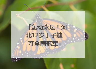 轰动泳坛！河北12岁于子迪夺全国冠军