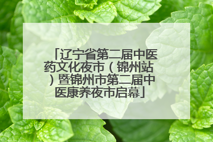 辽宁省第二届中医药文化夜市（锦州站）暨锦州市第二届中医康养夜市启幕