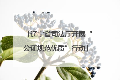 辽宁省司法厅开展“公证规范优质”行动