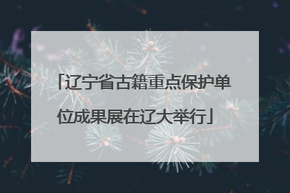 辽宁省古籍重点保护单位成果展在辽大举行