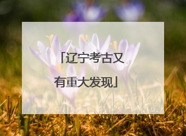 辽宁考古又有重大发现