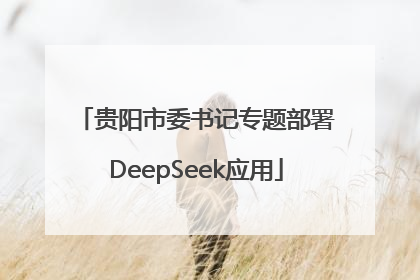 贵阳市委书记专题部署DeepSeek应用