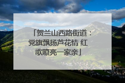 贺兰山西路街道：党旗飘扬芦花情 红歌嘹亮一家亲