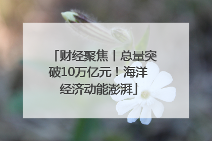 财经聚焦丨总量突破10万亿元！海洋经济动能澎湃