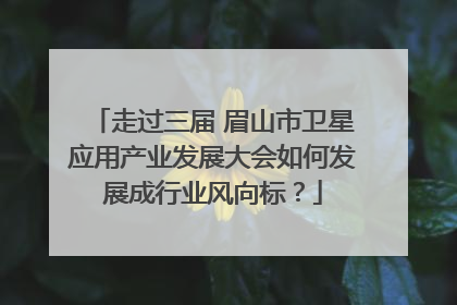 走过三届 眉山市卫星应用产业发展大会如何发展成行业风向标？