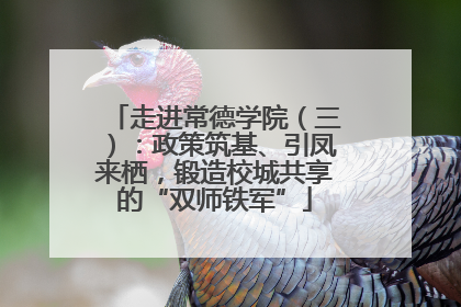 走进常德学院（三）：政策筑基、引凤来栖，锻造校城共享的“双师铁军”
