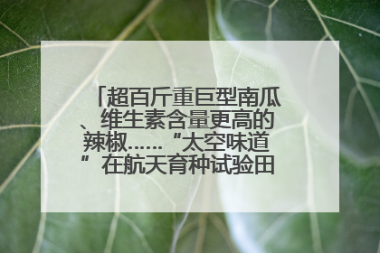 超百斤重巨型南瓜、维生素含量更高的辣椒……“太空味道”在航天育种试验田里拔节生长
