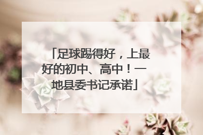 足球踢得好，上最好的初中、高中！一地县委书记承诺