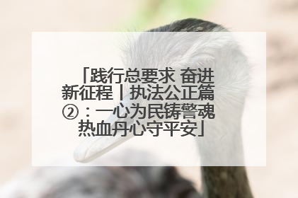 践行总要求 奋进新征程丨执法公正篇②：一心为民铸警魂 热血丹心守平安