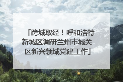 跨城取经！呼和浩特新城区调研兰州市城关区新兴领域党建工作