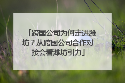 跨国公司为何走进潍坊？从跨国公司合作对接会看潍坊引力