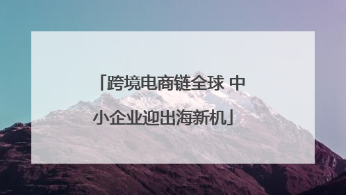 跨境电商链全球 中小企业迎出海新机