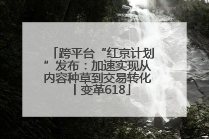 跨平台“红京计划”发布：加速实现从内容种草到交易转化丨变革618