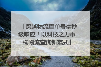 跨越物流查单号毫秒级响应！以科技之力重构物流查询新范式