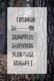 跨越速运——物流网络货运的创新先锋与品质标杆