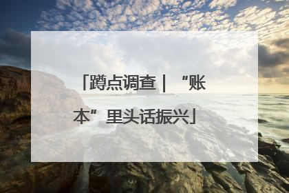 蹲点调查｜“账本”里头话振兴