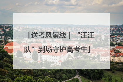 送考风景线｜“汪汪队”到场守护高考生