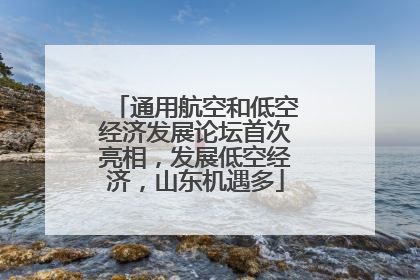 通用航空和低空经济发展论坛首次亮相，发展低空经济，山东机遇多